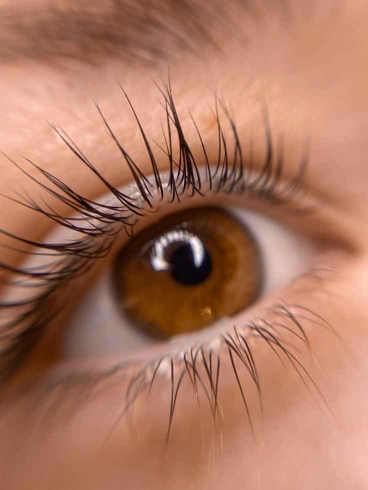Lash Lift & Tint Deluxe ( (Ανόρθωση φυσικής βλεφαρίδας /βαφή και θεραπεία ενδυνάμωσης)