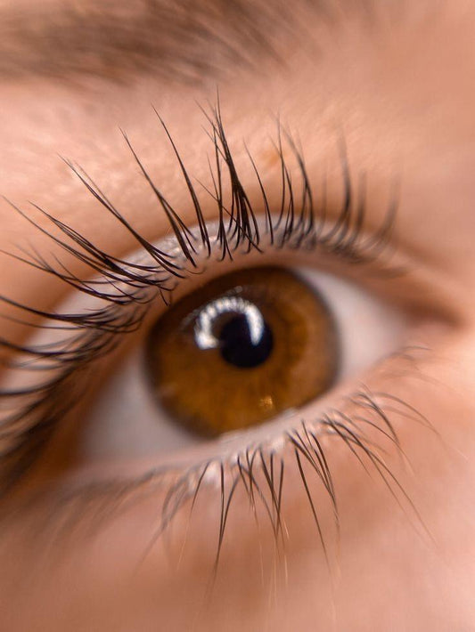 Lash Lift & Tint Deluxe ( (Ανόρθωση φυσικής βλεφαρίδας /βαφή και θεραπεία ενδυνάμωσης Botox) - Emily's Lash & Brows Beauty Salon